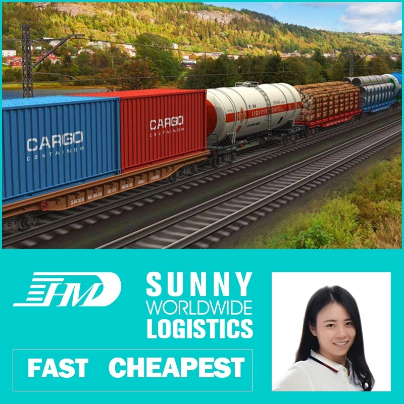 Chine swwls Train d'expédition ferroviaire rapide Chemin de fer de fret vers Minsk Biélorussie fabricant