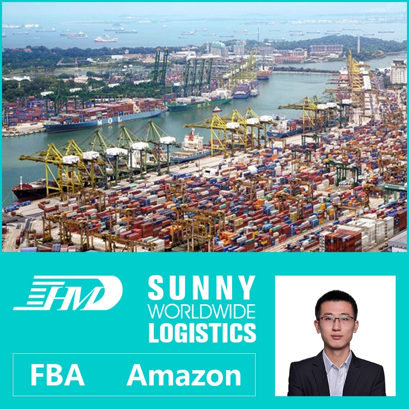 China Swwls sea shipping agent from China to Netherlands streetwear shipping Freight Forwarder