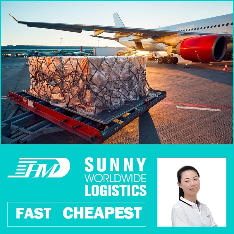 China sea freight shipping companies, international shipping by sea, sea freight shipping costs manufacturer