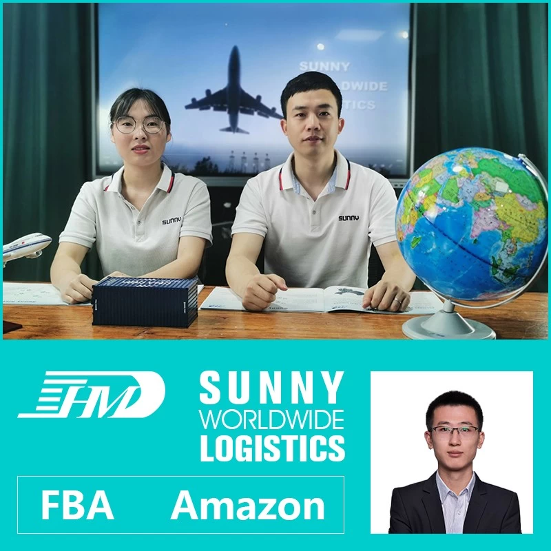 China Swwls Shipping Agent  Air Freight Forwarder China France cheap Door To Door Service manufacturer