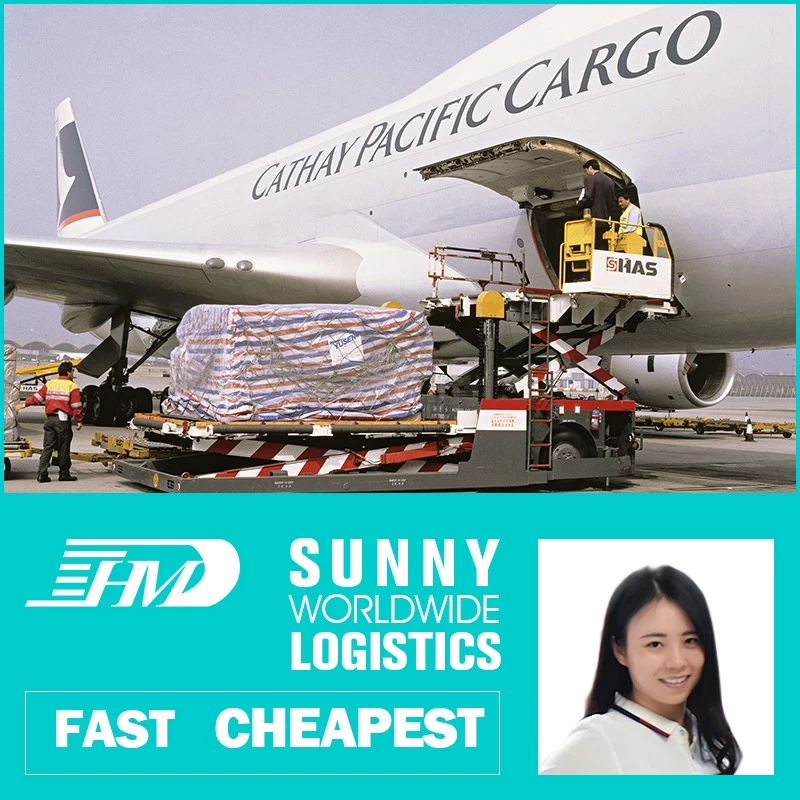 China Swwls Air Shipping From China To Germany Freight Forwarder Shipping Rates  Door To Door Service manufacturer