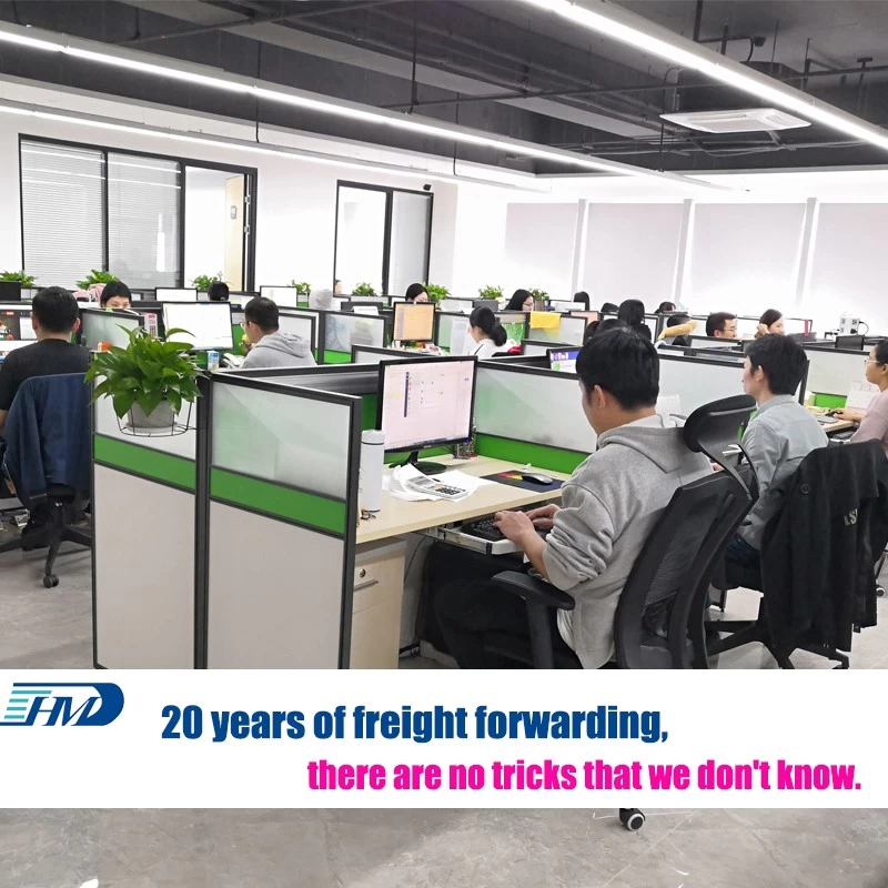 China Shipping Agent Provides Ups Delivery To Ship From China To Germany manufacturer