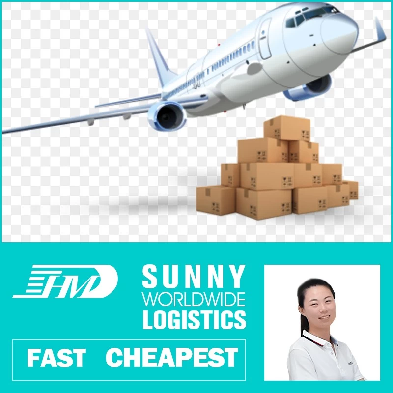 Chine swwls agent d'expédition le plus rapide pour les services porte à porte d'agent de fret aérien en Suède fabricant