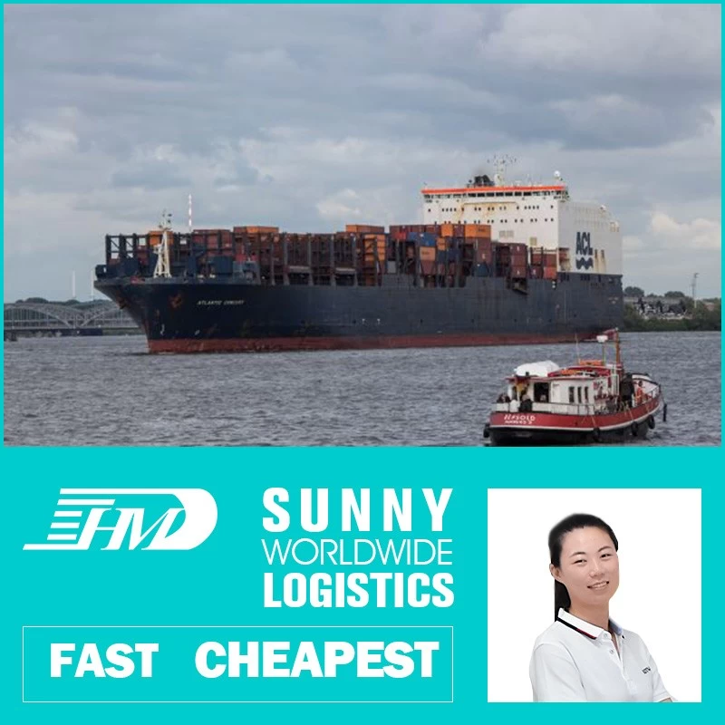 China Swwls Sea freight forwarder shipping from china to France ocean shipping from china FCL container manufacturer