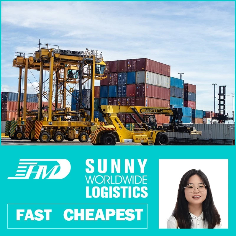 China swwls air forwarding port air sea freight sea freight forwarder shipping ddu ddp service manufacturer