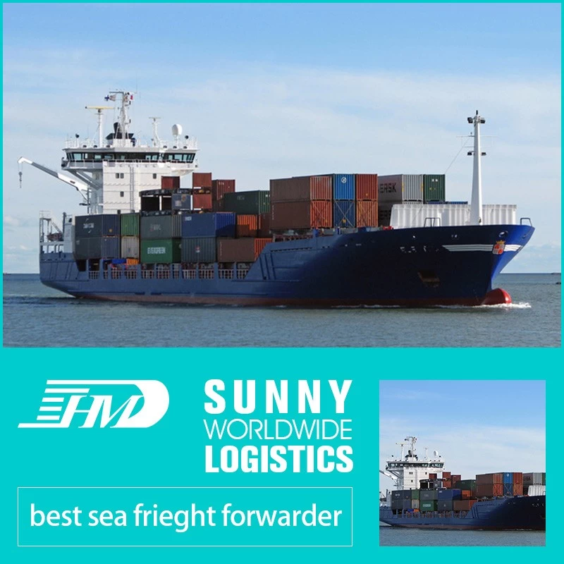 Chine Stockage en entrepôt de fourniture de fret maritime porte à porte, fret maritime de Chine, fret maritime vers l'Australie, du fret maritime de Chine à la Turquie Bahreïn Koweït fabricant