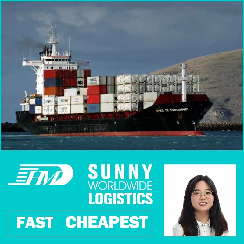 China Swwls Ocean freight forwarder 20GP 40GP door to door China to Brazil DDU container shipping logistics services manufacturer