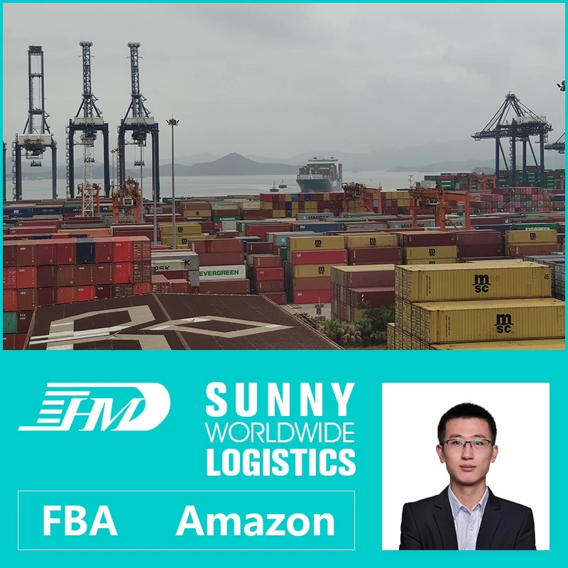 China Swwls Ocean freight forwarder 20GP 40GP door to door China to Europe DDU container shipping  services manufacturer