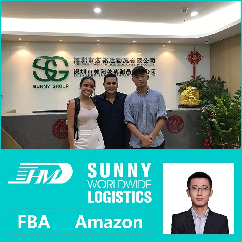 China swwls Best Railway Train Shipping Railway Freight Transport To russia kazakhstan manufacturer