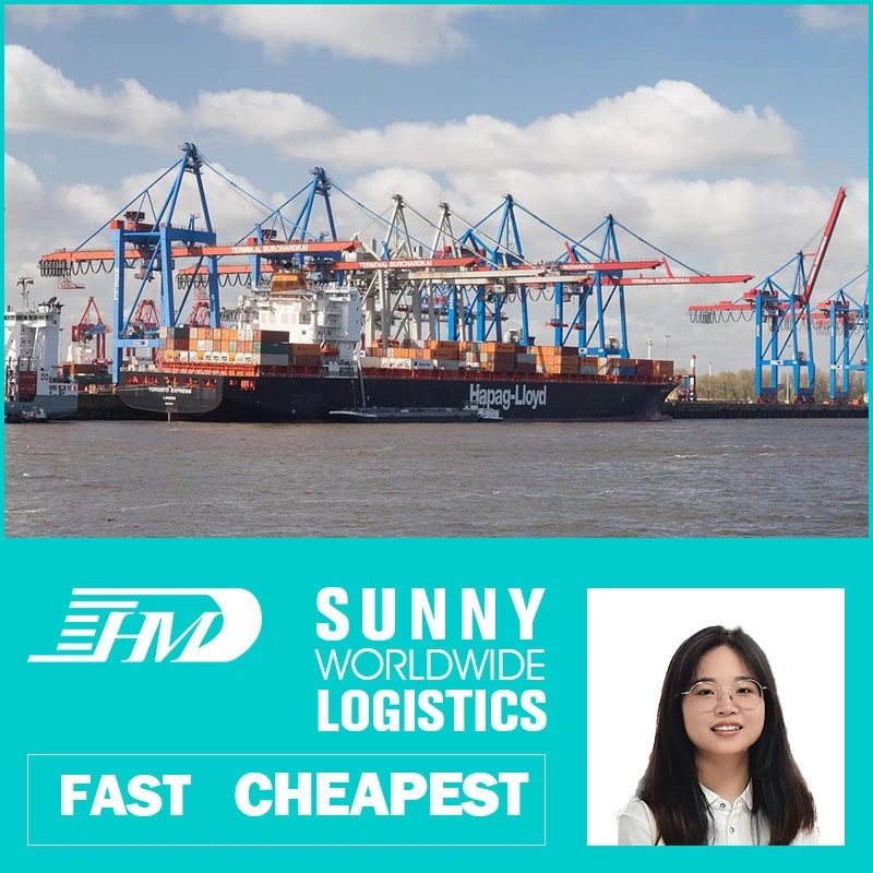 China Swwls Sea Freight From China To Poland LCL Logistics Services Door To Door company manufacturer