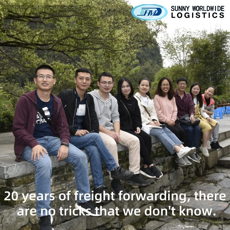 China SWWLS DDP DDU service China to USA professional sea freight forwarder agent manufacturer
