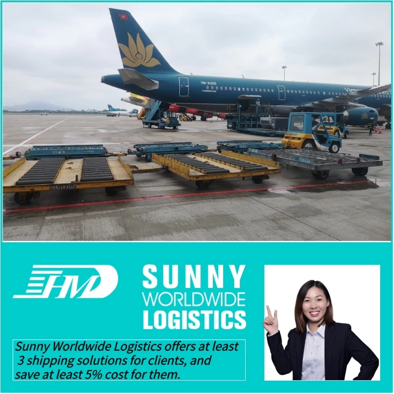 China forwarding from china sea freight to new zealand, sea freight to usa, sea freight shipping from china to kuwait Freight Forwarder