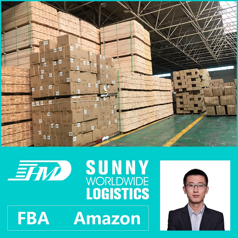 China swwls Sea freight forwarders from Shanghai to the Germany for overs T shirt ddp ddu Freight Forwarder