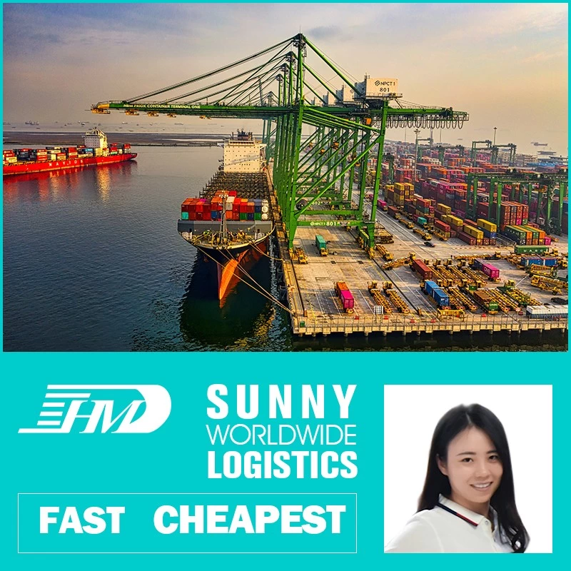 China Swwls Sea shipping from guangzhou china to Europe logistics services door to door Promotion agent sea freight forwarder manufacturer