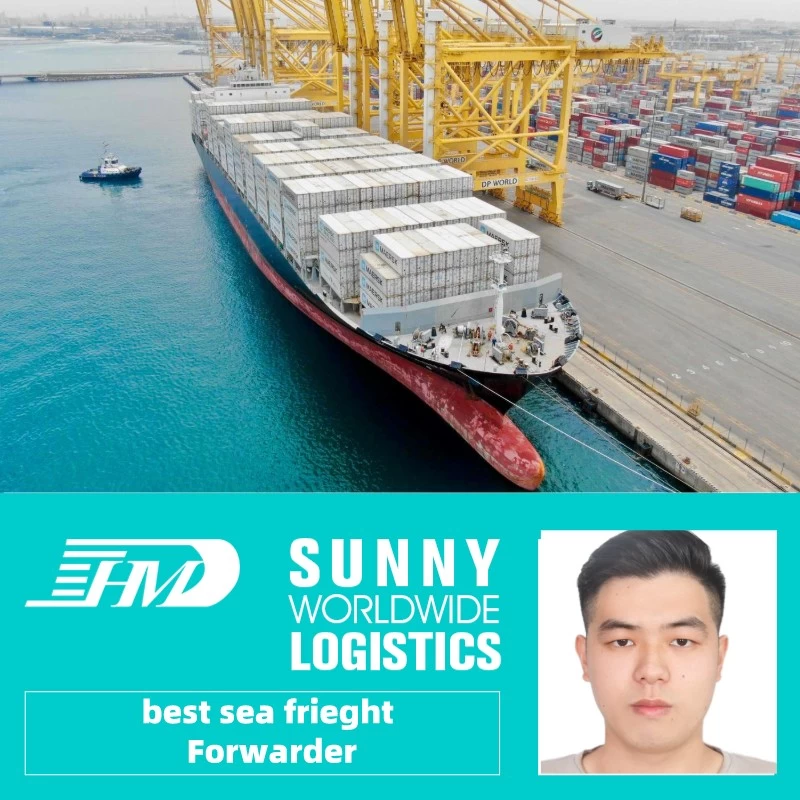 Chine Transitaire de transport maritime de la Chine vers Alger Algérie service de livraison porte à porte dédouanement fabricant