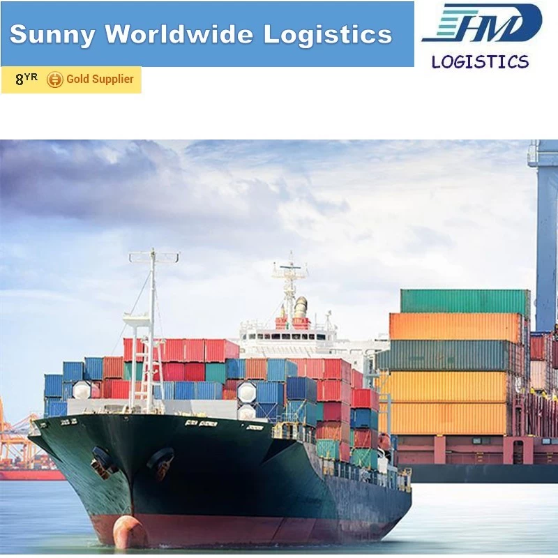 China swwls Ocean Shipping Sea Freight Forwarder FBA Shipment From China Shenzhen to USA manufacturer