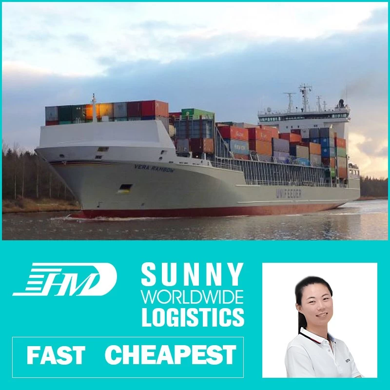 porcelana Swwls Transporte marítimo desde China a Haití envío marítimo desde contenedor FCL de China Reenvío de carga
