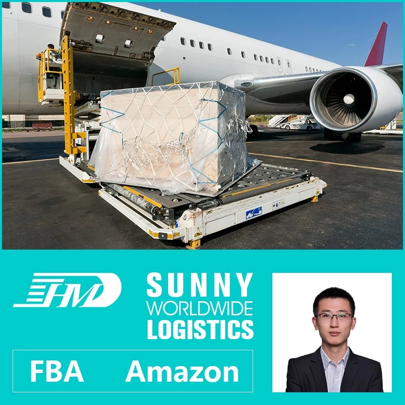 Chine L'agent transitaire professionnel Swwls offre un bon service de transport aérien de la Chine vers les Pays-Bas fabricant