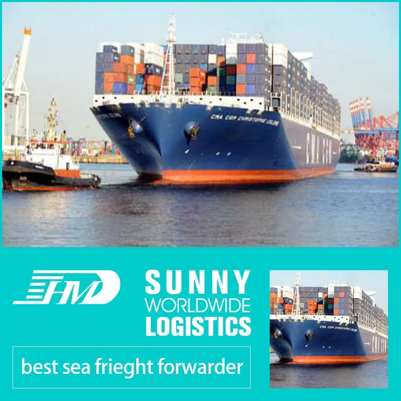 China Swwls shipping agent Freight Forwarder Professional Good Services from China with high speed to Maldives manufacturer