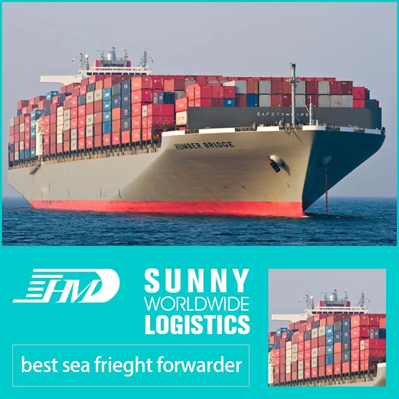 Chine swwls expédition par mer ddp de Qingdao Shanghai aux États-Unis Miami LA LB agent de transport maritime fabricant