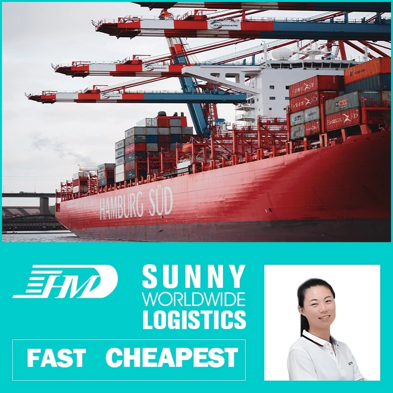 China Swwls Ocean freight forwarder 20GP 40GP door to door China to Brazil DDU container shipping logistics services manufacturer
