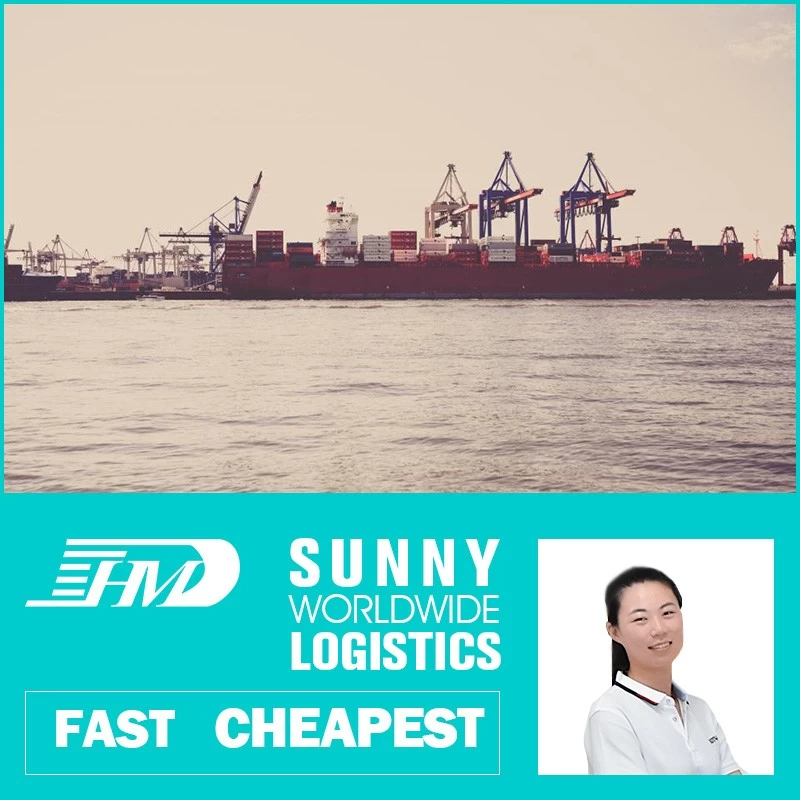 China Swwls Sea freight forwarder shipping from china to France ocean shipping from china FCL container manufacturer