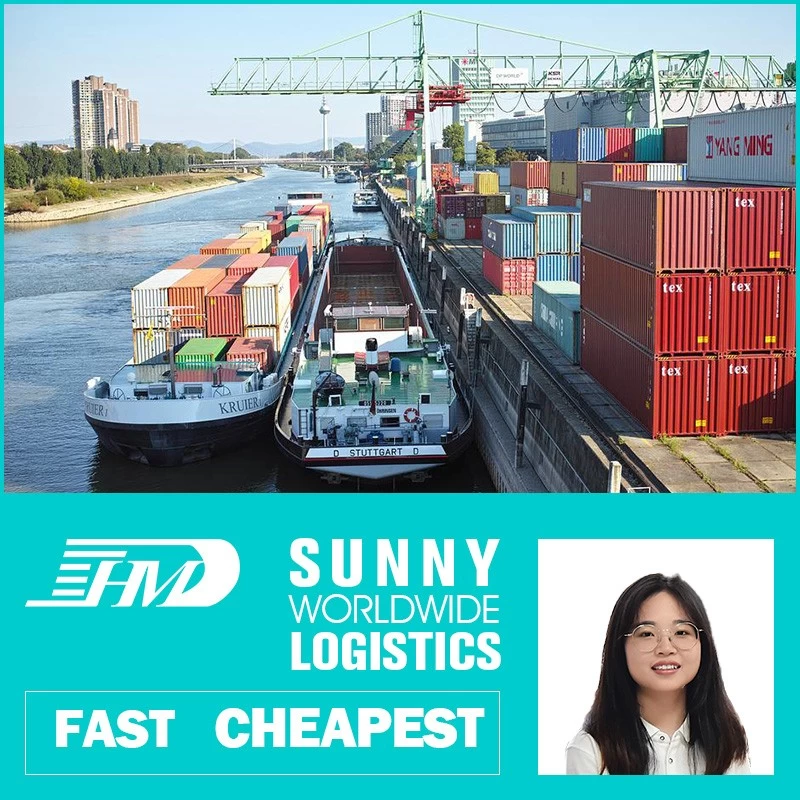 China Swwls Sea Freight From China To Poland LCL Logistics Services Door To Door company manufacturer