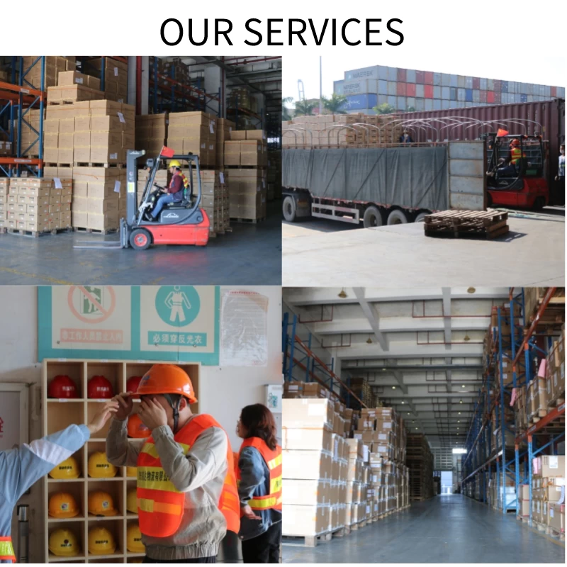 Chine Société de logistique mondiale ensoleillée, service de transport maritime supérieur de la Chine vers les États-Unis FCL/LCL fabricant