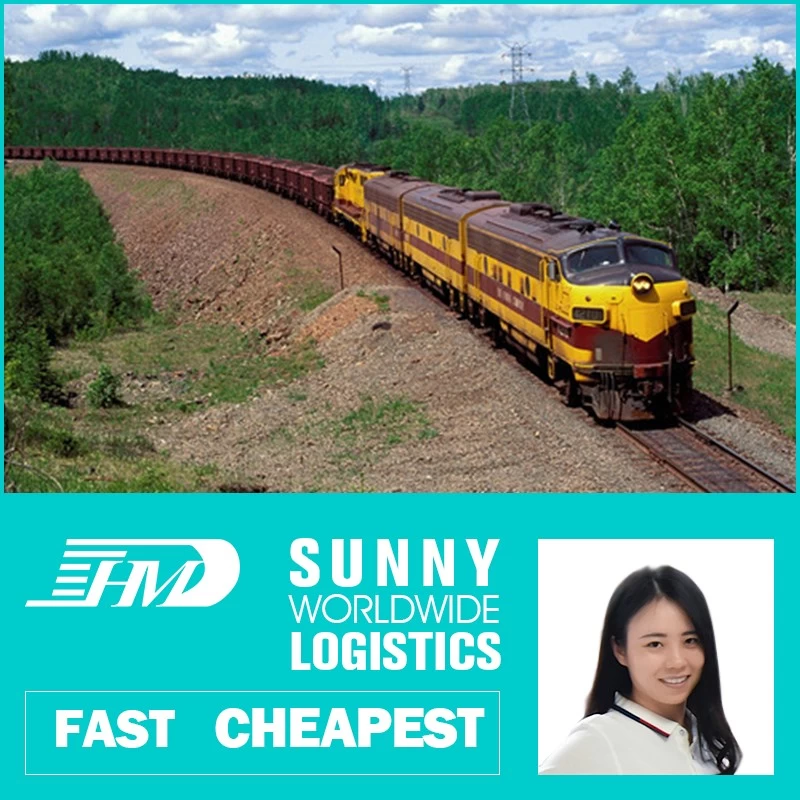 Chine Service de fret d'expédition de train de transitaire ferroviaire Chine vers l'Europe DDP DDU fabricant