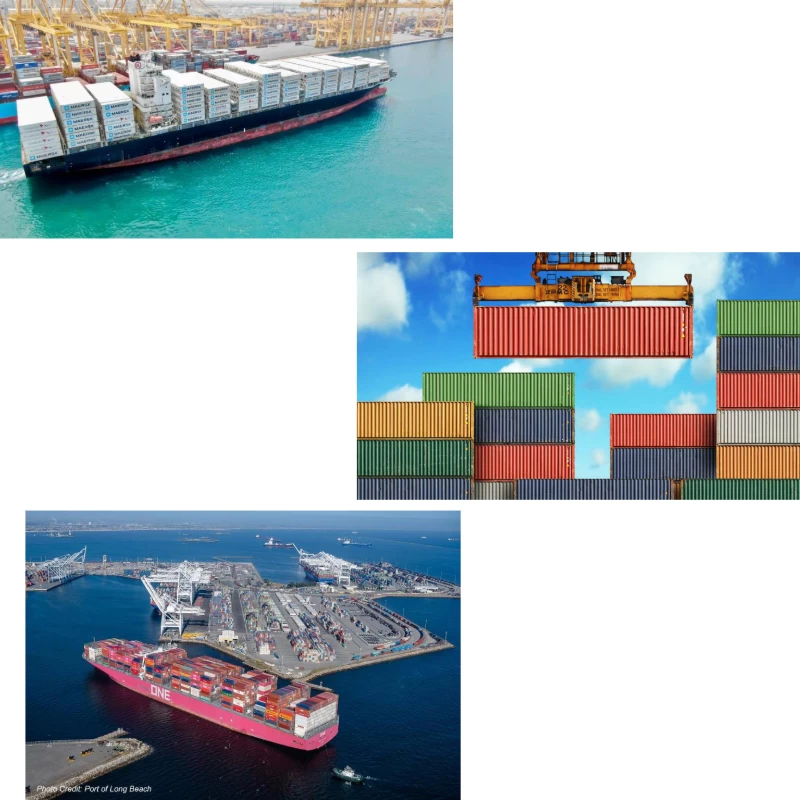 porcelana Sunny Worldwide Logistics Company servicio de envío marítimo económico desde China a Malasia Reenvío de carga