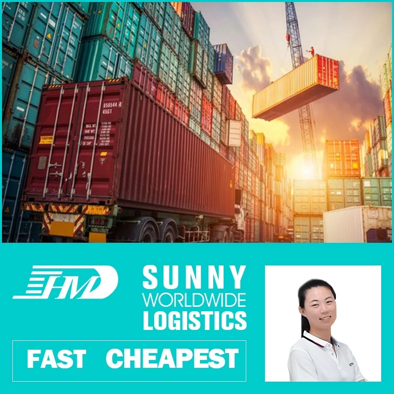 China Swwls Sea shipping from guangzhou china to Singapore logistics services door to door Promotion agent sea freight forwarder manufacturer