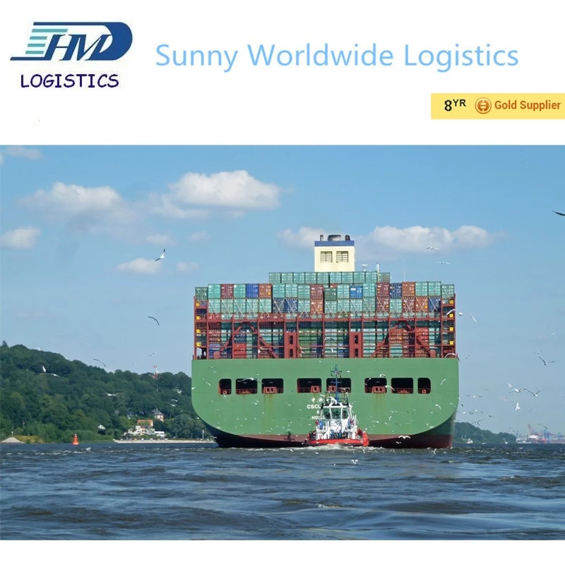 China From Shenzhen China freight to Sweden freight forwarder sea freight manufacturer