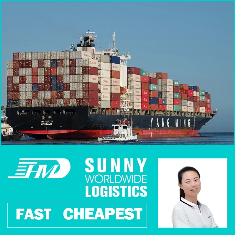 China swwls air forwarding port air sea freight sea freight forwarder shipping ddu ddp service manufacturer