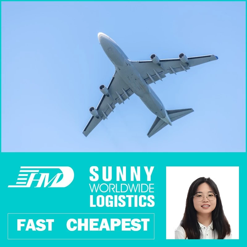porcelana Promotor de carga aérea de Swwls China a los E.E.U.U. Reino Unido Agente de transporte alemán Suráfrica Francia Italia Reenvío de carga