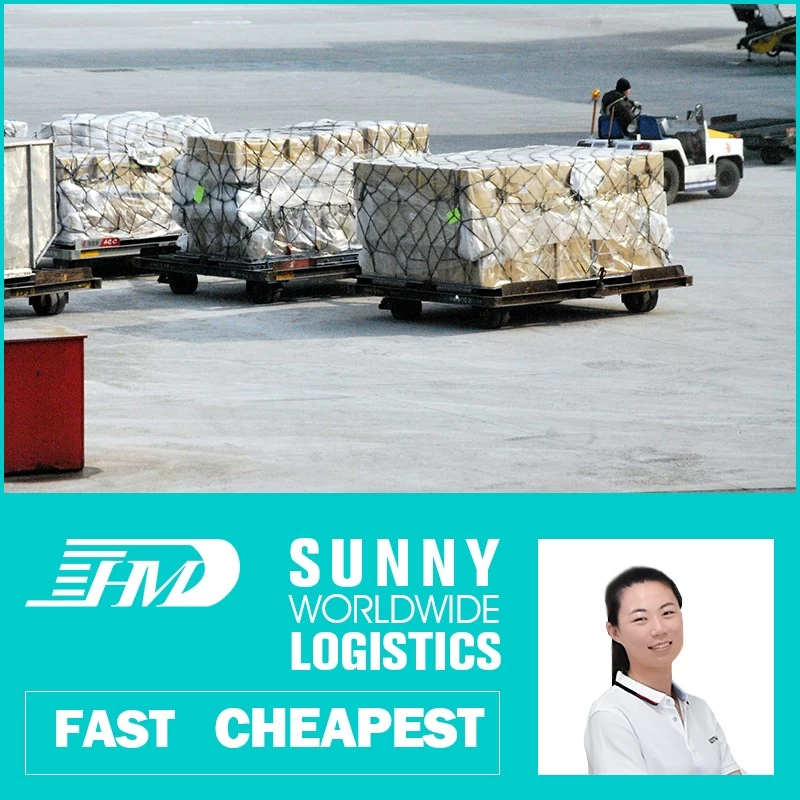 China sea freight shipping companies, international shipping by sea, sea freight shipping costs manufacturer