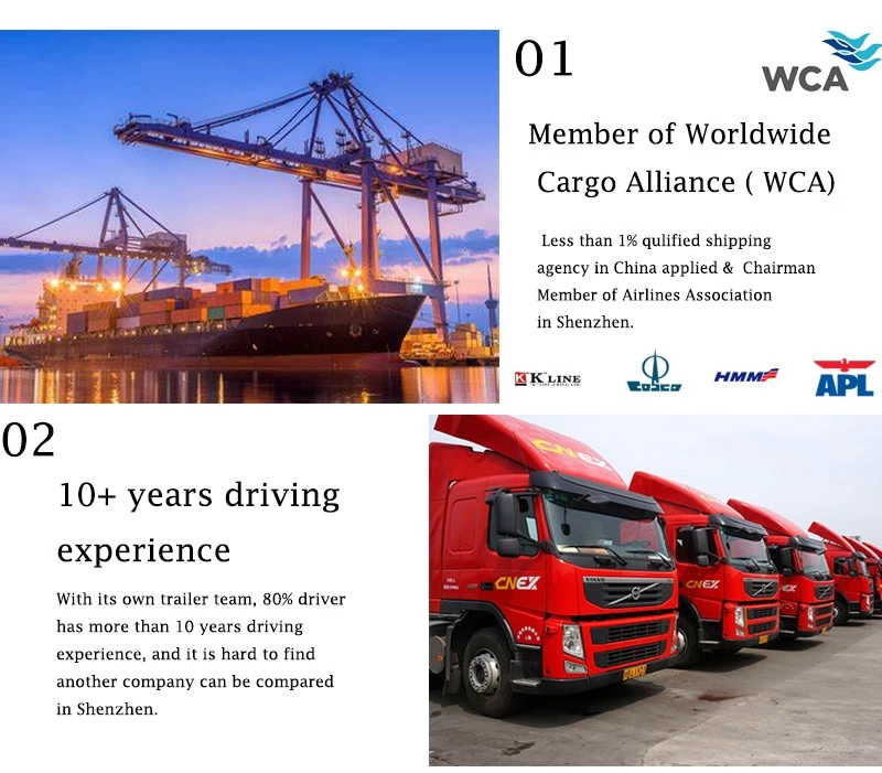 Chine Service d'expédition porte à porte Compagnie de transport de fret aérien de la Chine à Dubaï Service de dédouanement DDP fabricant