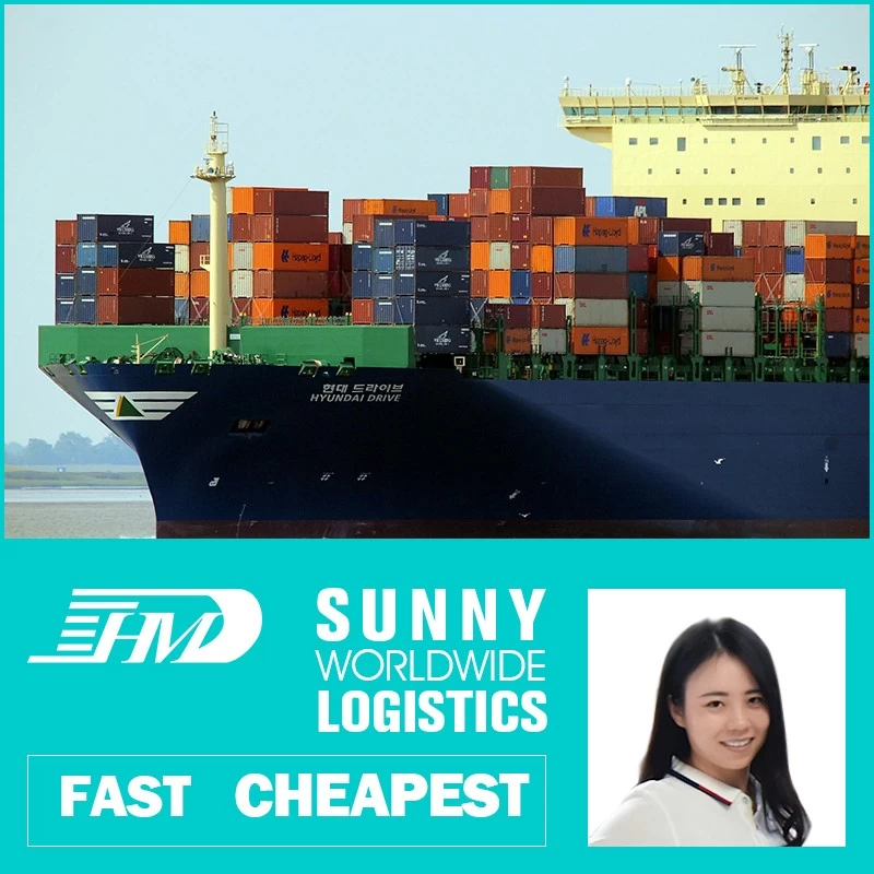 China Swwls Sea freight forwarder shipping from china to Australia ocean shipping from china FCL container manufacturer