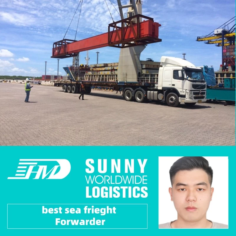 Chine Transitaire de transport maritime de la Chine vers Alger Algérie service de livraison porte à porte dédouanement fabricant
