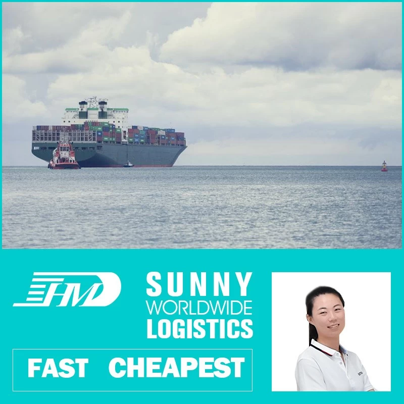 China Swwls Sea freight forwarder shipping from china to France ocean shipping from china FCL container manufacturer
