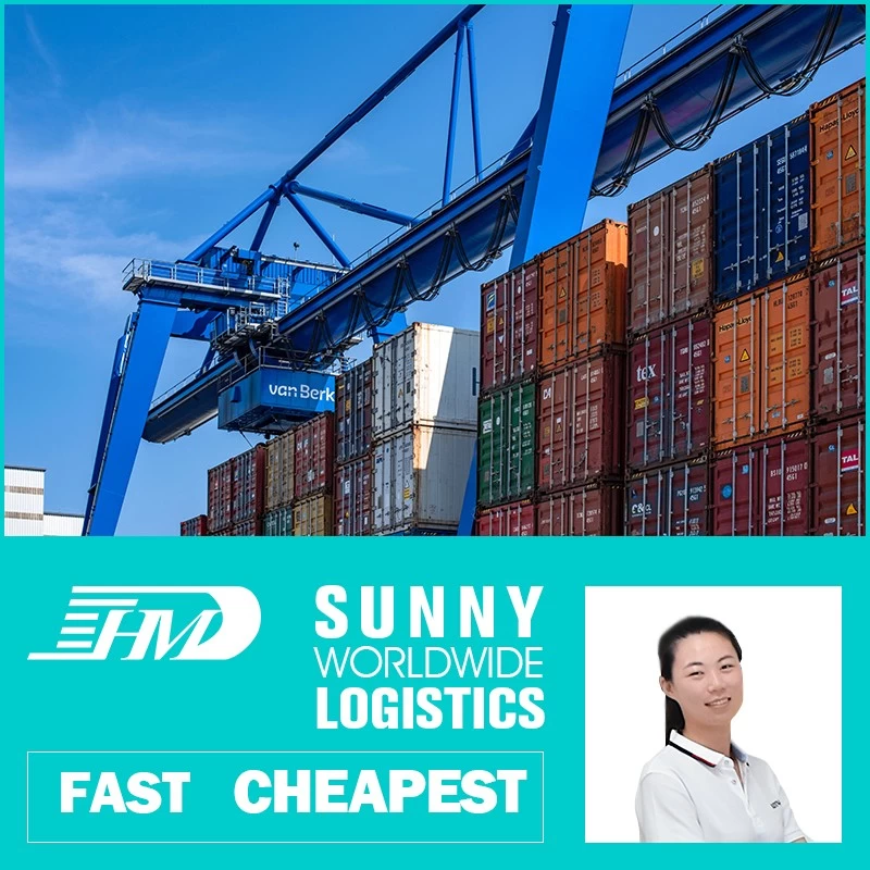 China Swwls Freight Forwarder Professional Shipping Agent Good Services from China toCanada by express air Freight Forwarder