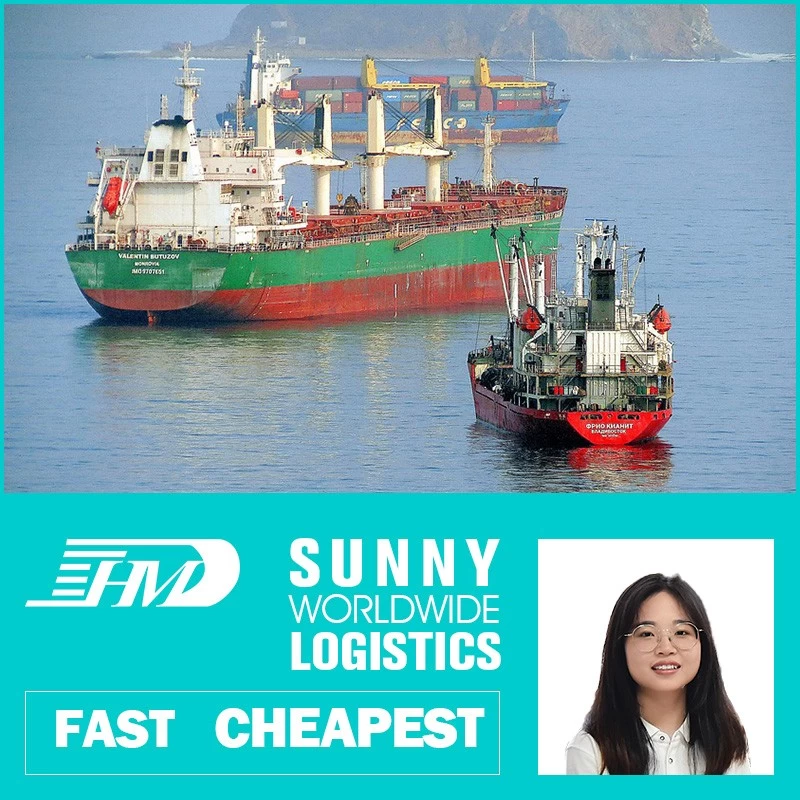 China Swwls Sea Freight From China To Poland LCL Logistics Services Door To Door company manufacturer