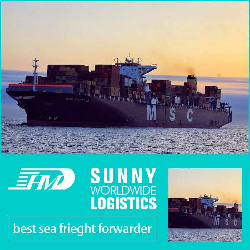Chine Stockage en entrepôt de fourniture de fret maritime porte à porte, fret maritime de Chine, fret maritime vers l'Australie, du fret maritime de Chine à la Turquie Bahreïn Koweït fabricant