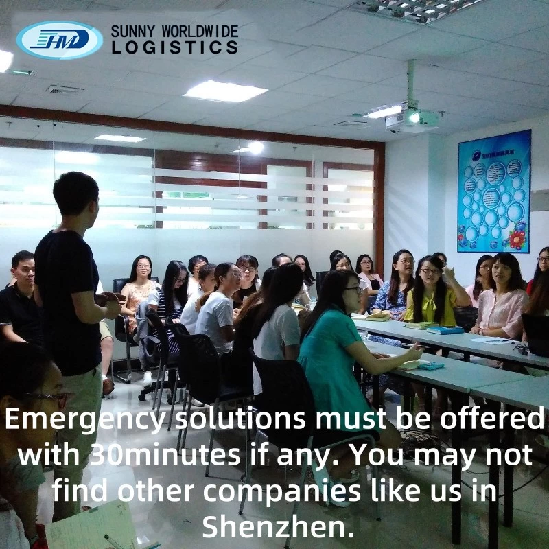 Chine SWWLS Global Logistics Produits professionnels exportant des tarifs de transport maritime de la Chine vers Israël fabricant