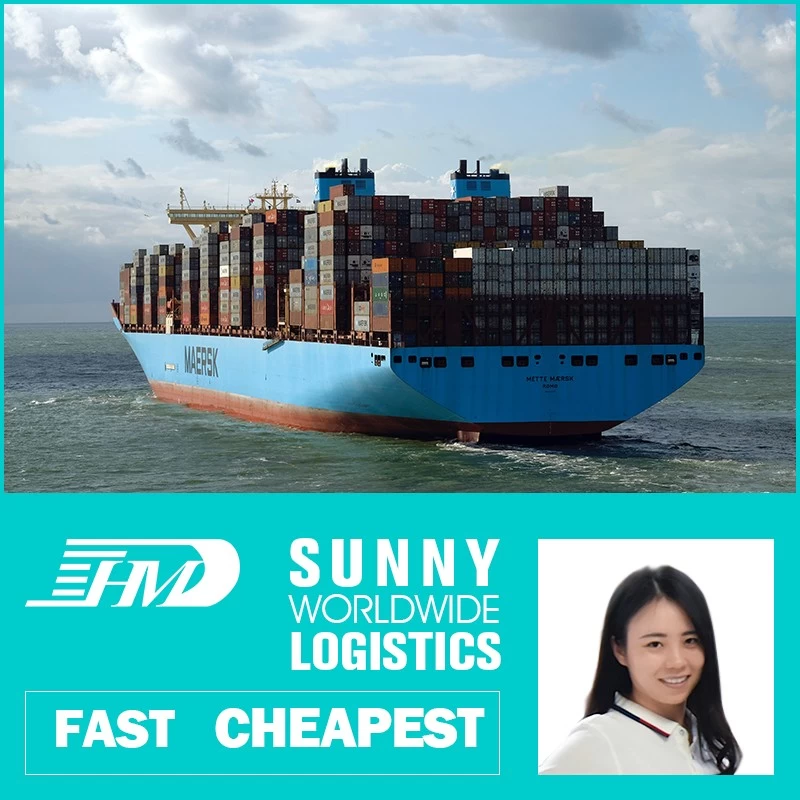 China swwls Cheapest Ocean Shipping International Freight Forwarder Sea Freight To Mexico manufacturer