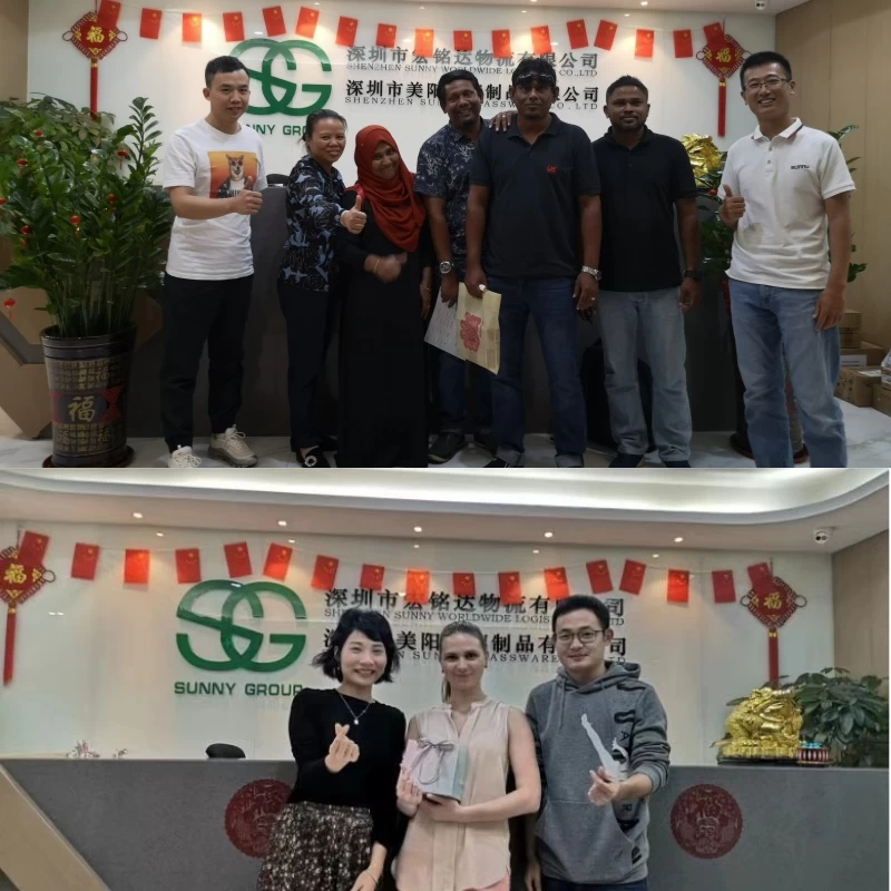 porcelana Sunny Worldwide Logistics Company servicio de envío marítimo económico desde China a Malasia Reenvío de carga