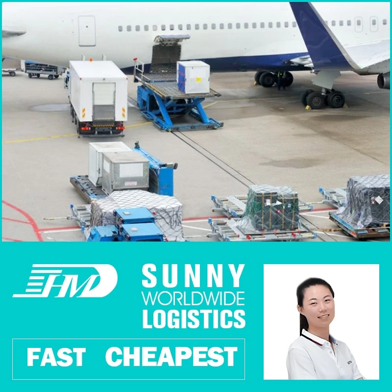 China Swwls CIF Service Air Freight Forwarder From China Shipping From China To Italy shipping rates manufacturer