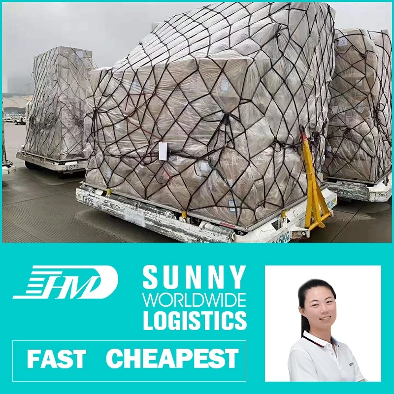 China sea freight shipping companies, international shipping by sea, sea freight shipping costs manufacturer