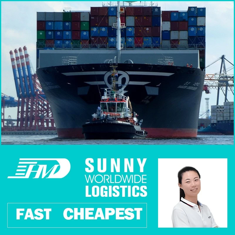 China swwls Logistics Company Drop ship Suppliers Shipping Service Cheapest Air Freight China To Europe forwarding agent manufacturer