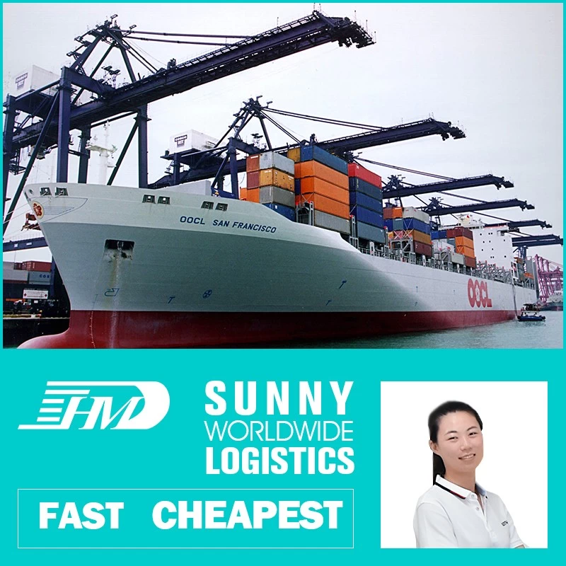 China Swwls Ocean freight forwarder 20GP 40GP door to door China to Brazil DDU container shipping logistics services manufacturer