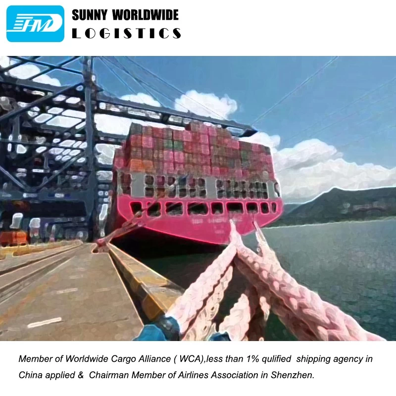 China Sea Shipping Rates Customs Clearance Service To UK France Spain manufacturer